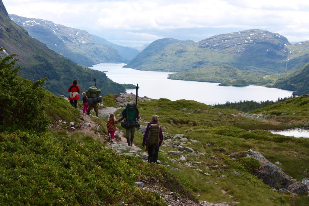 Skysstasjonen Cottages Røldal Kültér fotó