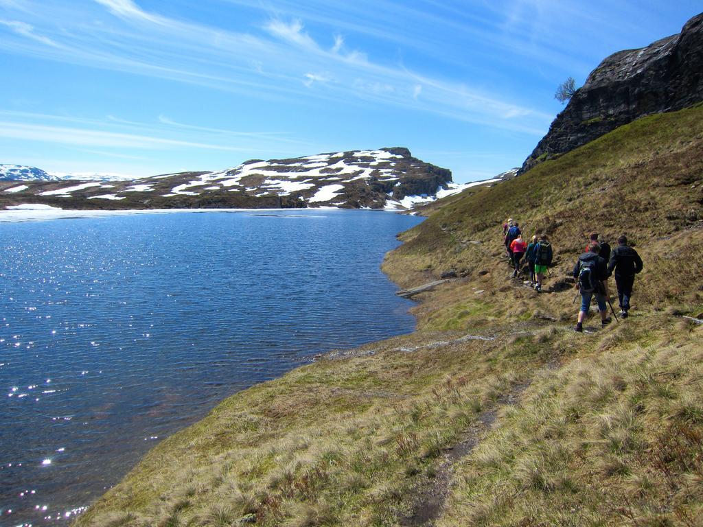 Skysstasjonen Cottages Røldal Kültér fotó